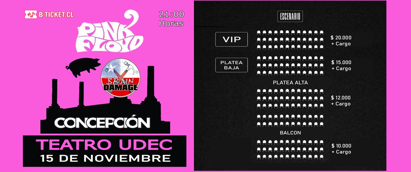 Brain Damage en Concepción