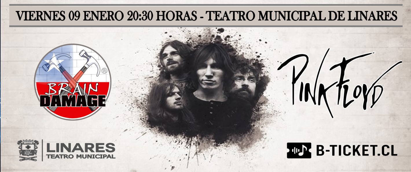 Brain Damage Pink Floyd Linares