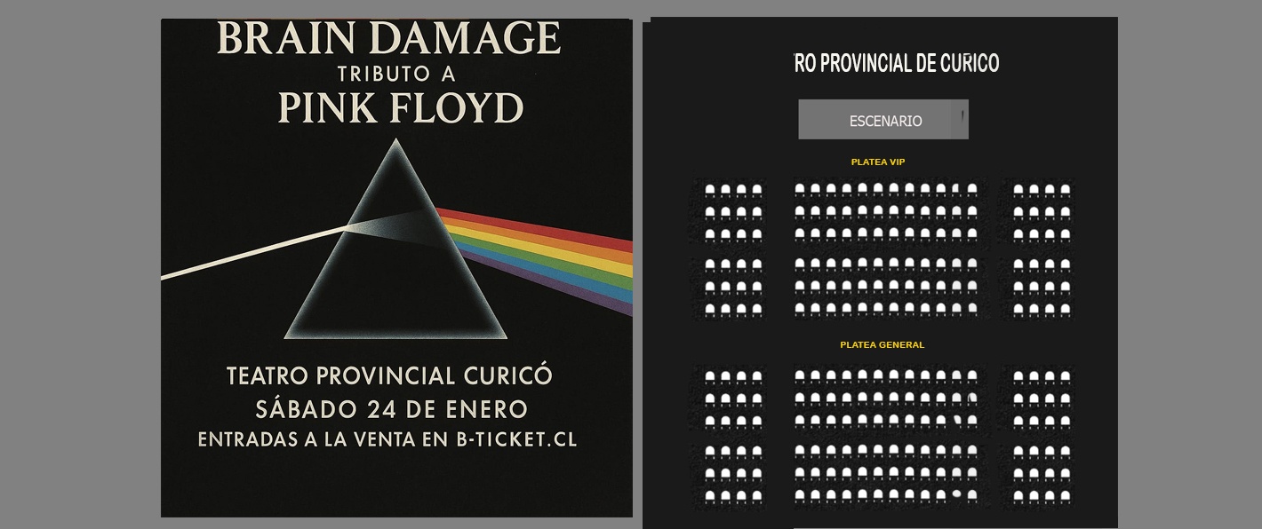 BRAIN DAMAGE EN CURICO