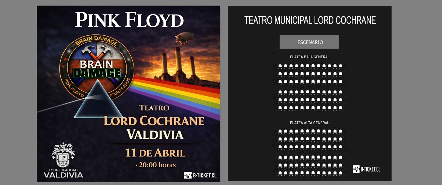 Brain Damage en valdivia